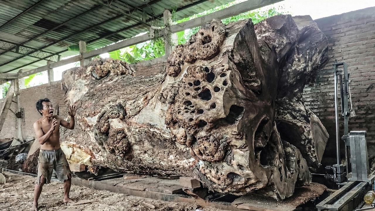 HORROR AT THE WORLD’S BIGGEST LUMBER MILL! Massive Log Collision Shocks Everyone