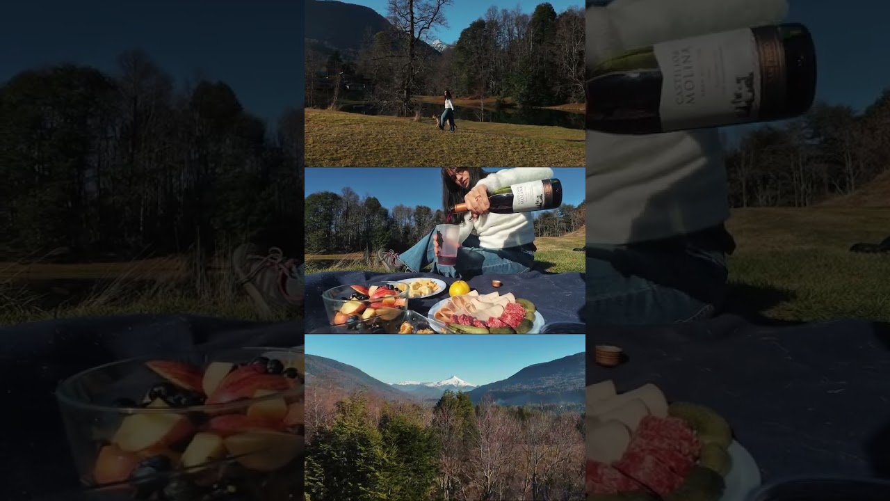 Una escapada perfecta: monta&ntilde;a, vino y picnic 🧺🍷🐾