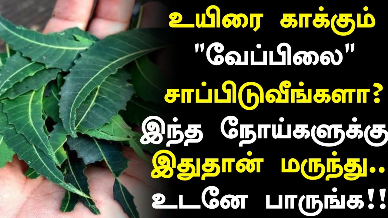 உயிரை காக்கும் வேப்பிலை! | Neem Leaves Health Benefits in Tamil| Neem Leaves Health Tips in Tamil