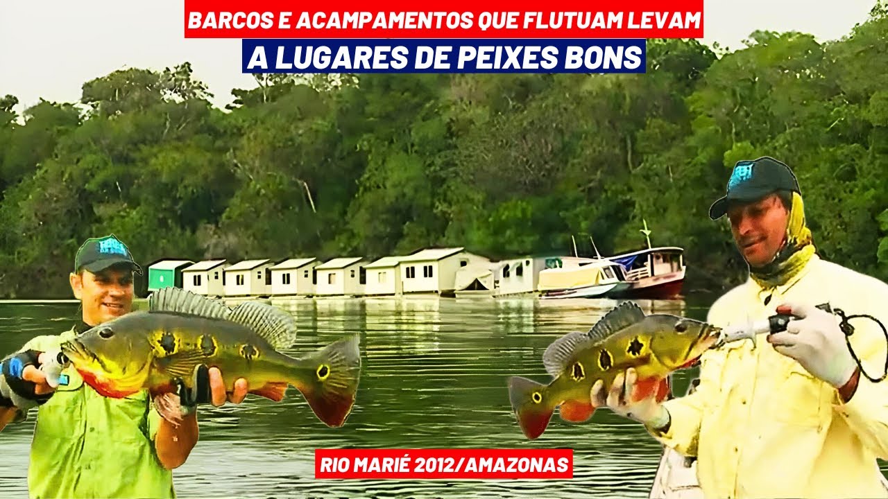RIO MARIÉ 2012 | UMA IMERSÃO NA FLORESTA FLUTUANTES NOS LEVAM ATÉ AS MORADAS DOS TUCUNARÉS