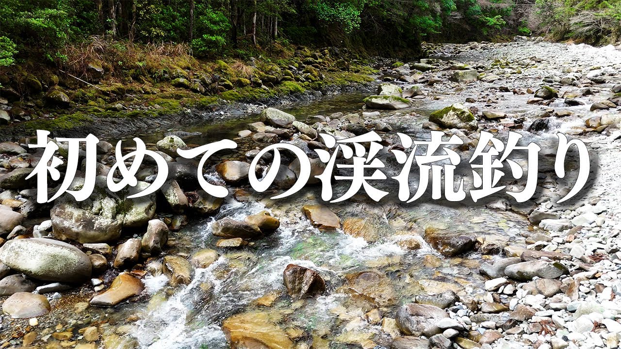 【渓流釣り】和歌山県 古座川町【七川】アマゴを釣ってみたい　vol.1