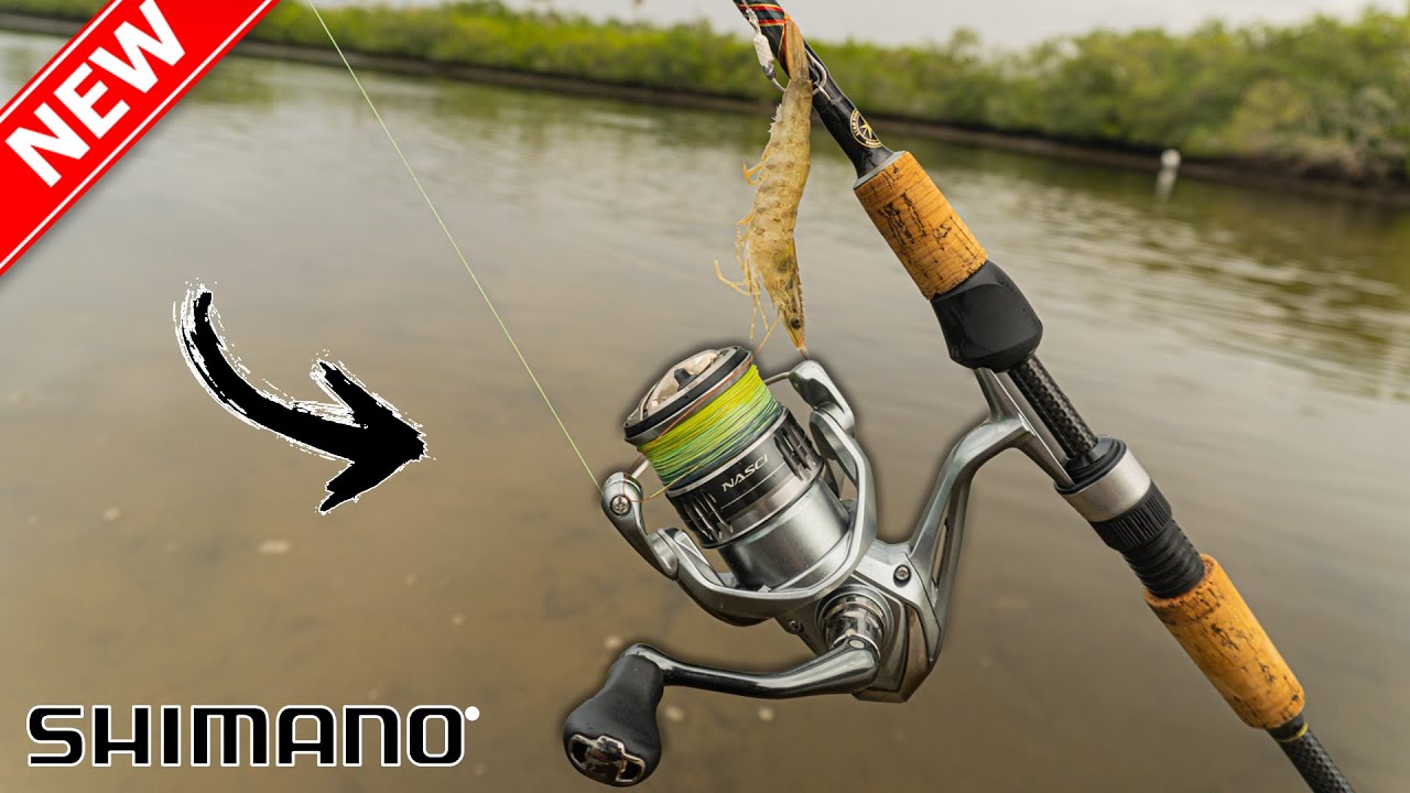 Ловлю рыбу на новую катушку Shimano NASCI 2500 FC для прибрежного слэма в заливе Тампа!