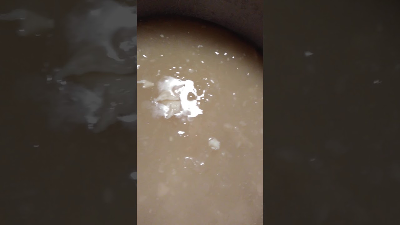 Thick Gelatinous Turkey Broth for the 1st Time!!!
