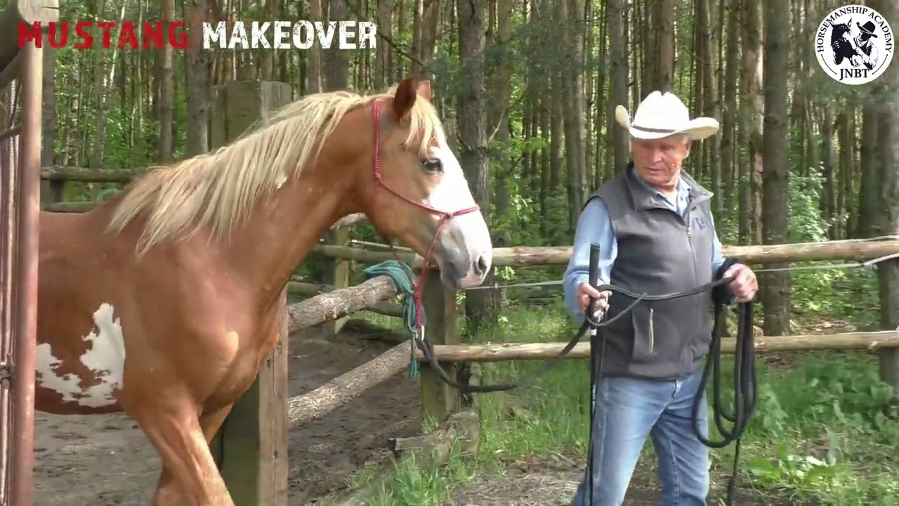 Praca z dzikim mustangiem - Free Spirit i Andrzej Makacewicz cz.2