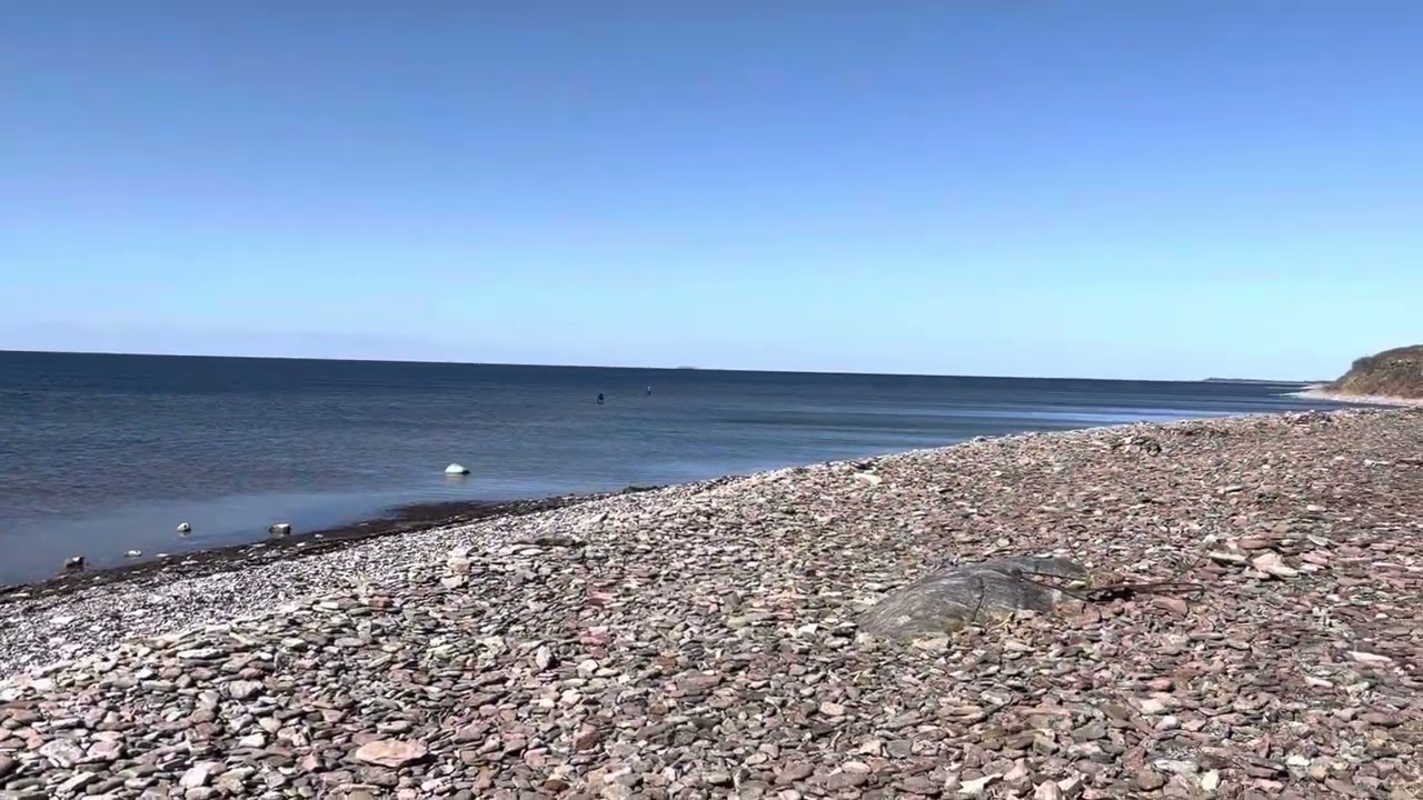 Fiske Öland 2023