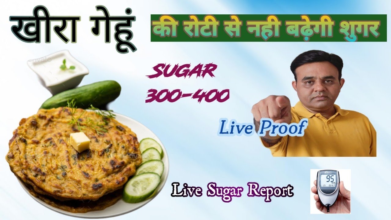 गेहूं की रोटी खाने से नही बढ़ती है शुगर || Gehu Ki Roti Se Nahi Badhti Hai Sugar || Live Proof