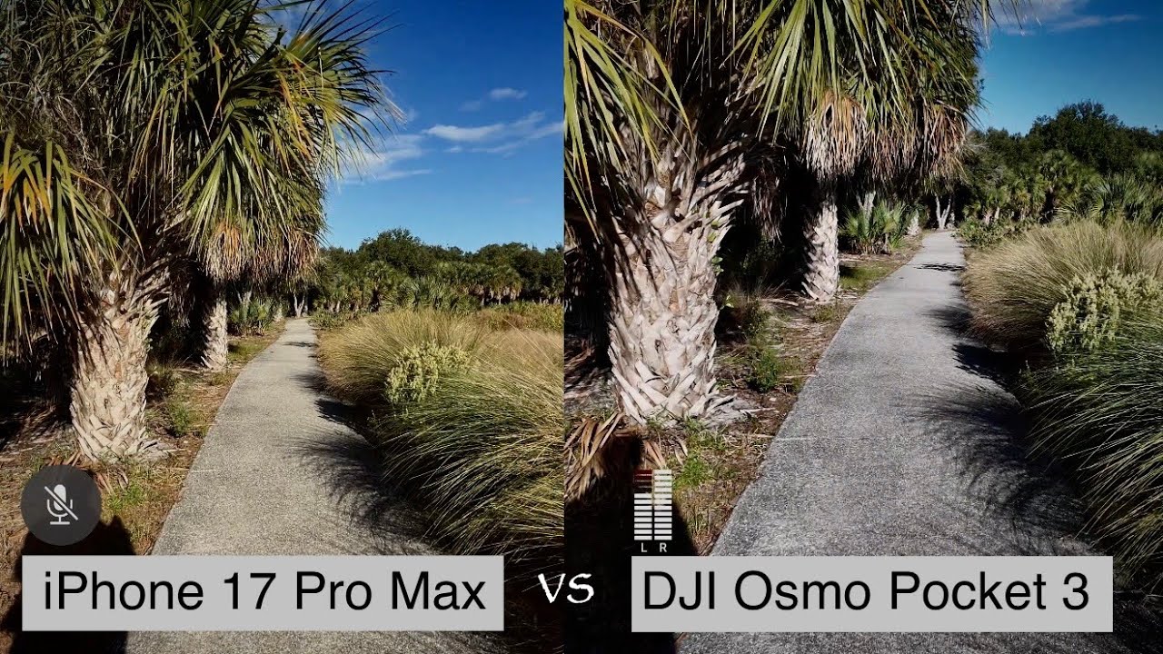iPhone 17 Pro Max vs DJI Osmo Pocket 3: Field Test Comparison