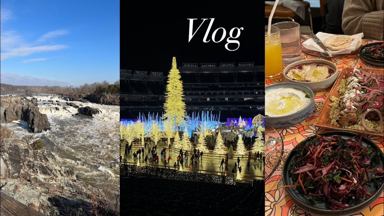 NY vlog. 이틀만에 결정해서 떠난 즉흥 워싱턴 dc 여행, Christmas time in Washington D.C.