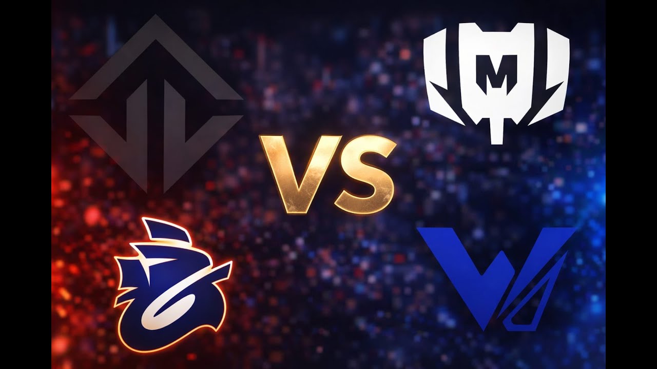 Les Playoff de la VCL France