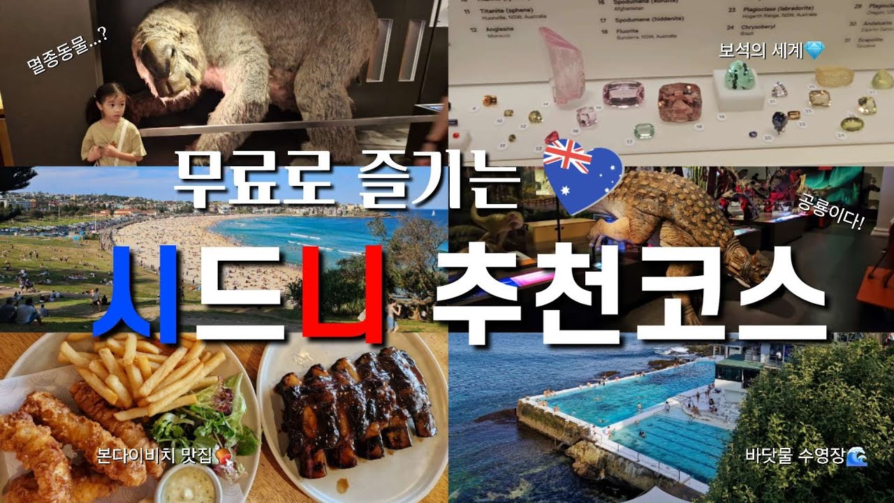 시드니 5박7일🇦🇺 | ep3. 돈 안들고 호주 즐기는 방법💡, 무료입장  호주자연사박물관🦣, 본다이비치맛집 허리케인그릴🍖, 아이스버그스 수영장🌊