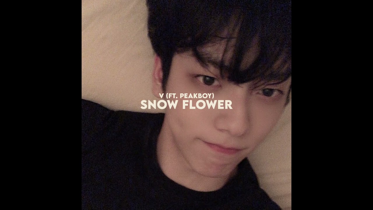 V ft. peakboy - snow flower (edit audio)
