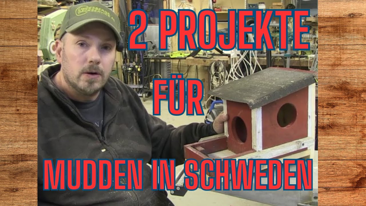 Eichhörnchen Futter und Tisch Schweden