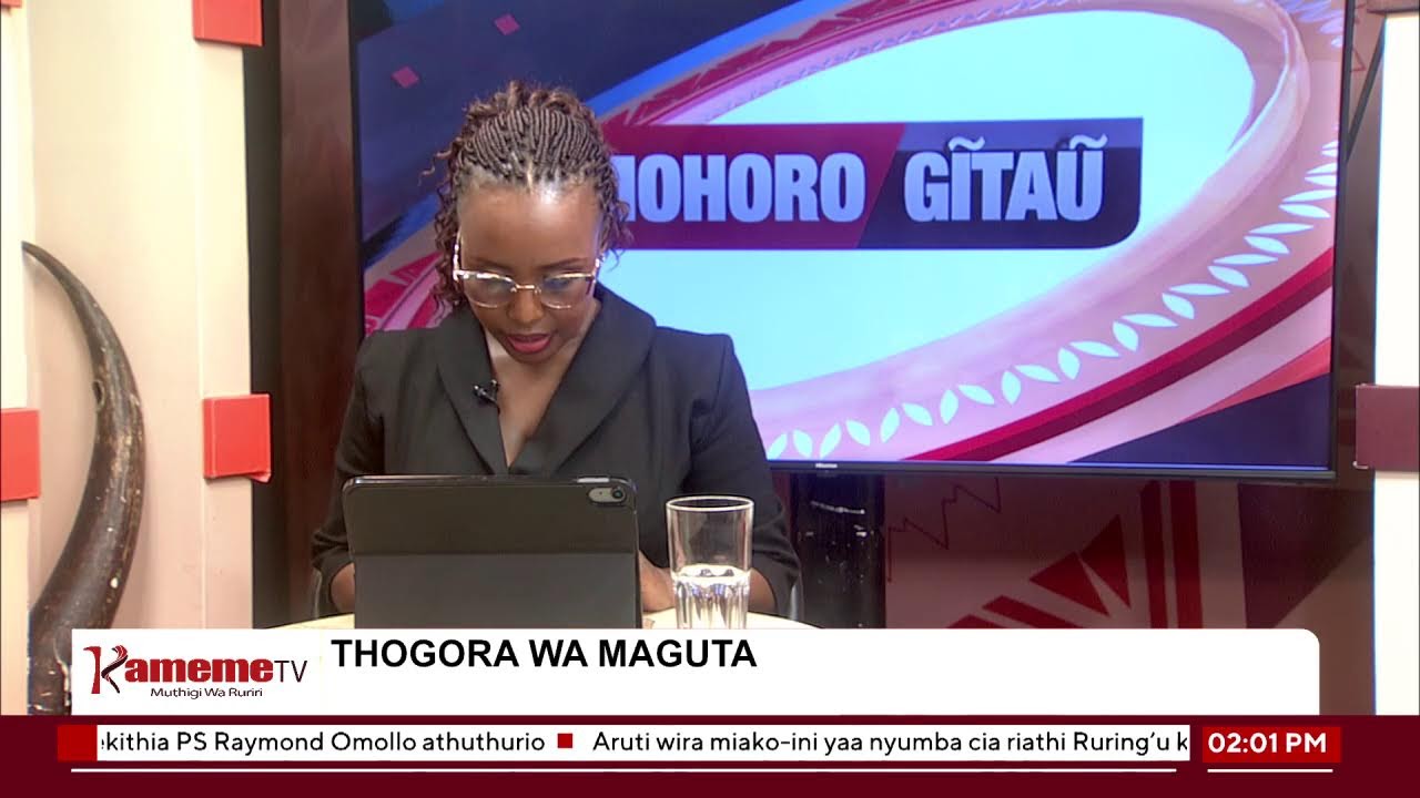 #MohoroGitau