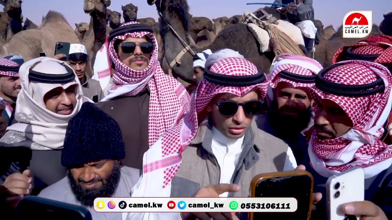 مسيرة منقية ندر الصفر للمالك دبوس الدبوس