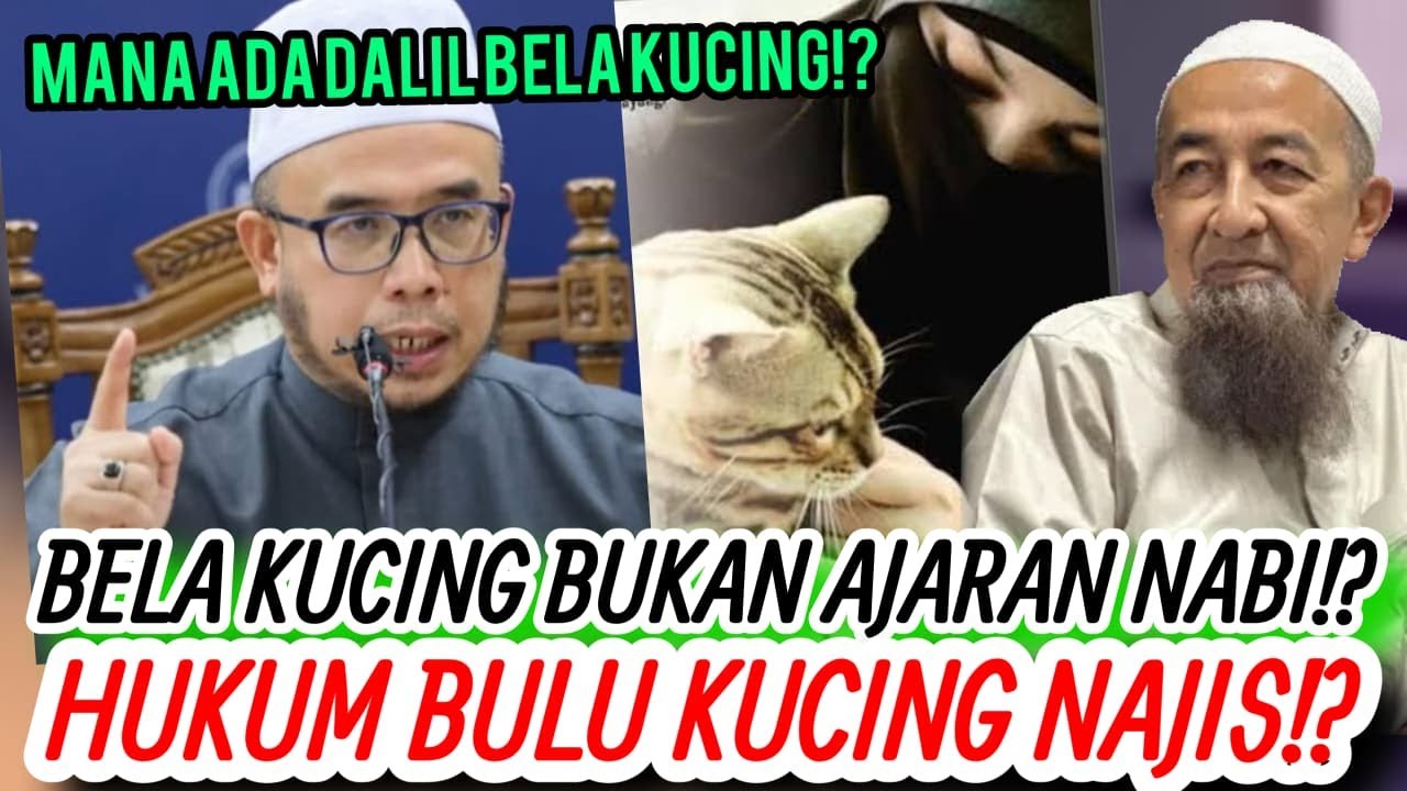 BELA KUCING BUKAN AJARAN NABI!? HUKUM BULU KUCING NAJIS HARAM! MANA DALIL BELA KUCING HARUS?