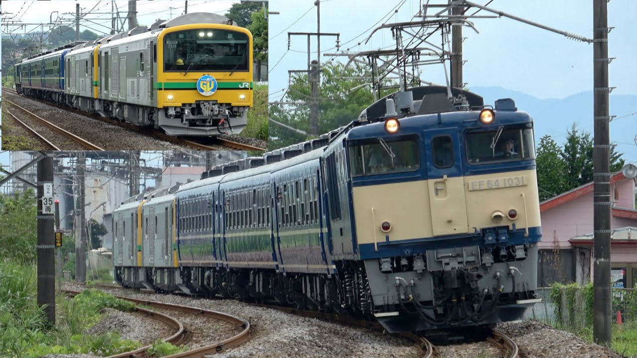 【ELぐんま復活】 EF64 1031（代走）+12系3両+GV-E197系TS08編成 快速「GV・SLぐんま横川/SL・GVぐんま横川」2025.8.11