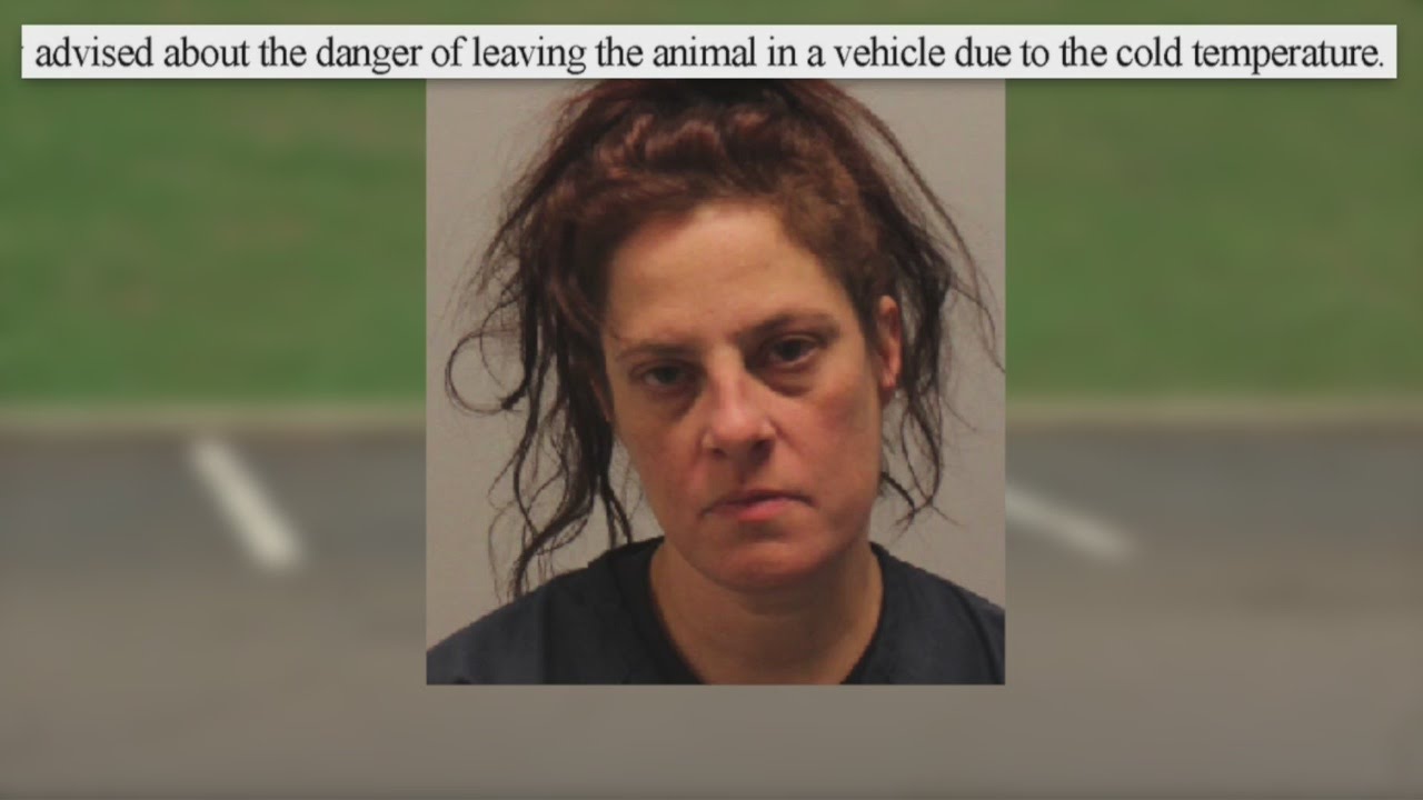 'Totally Disgusting': Police Recount Animal Cruelty Case