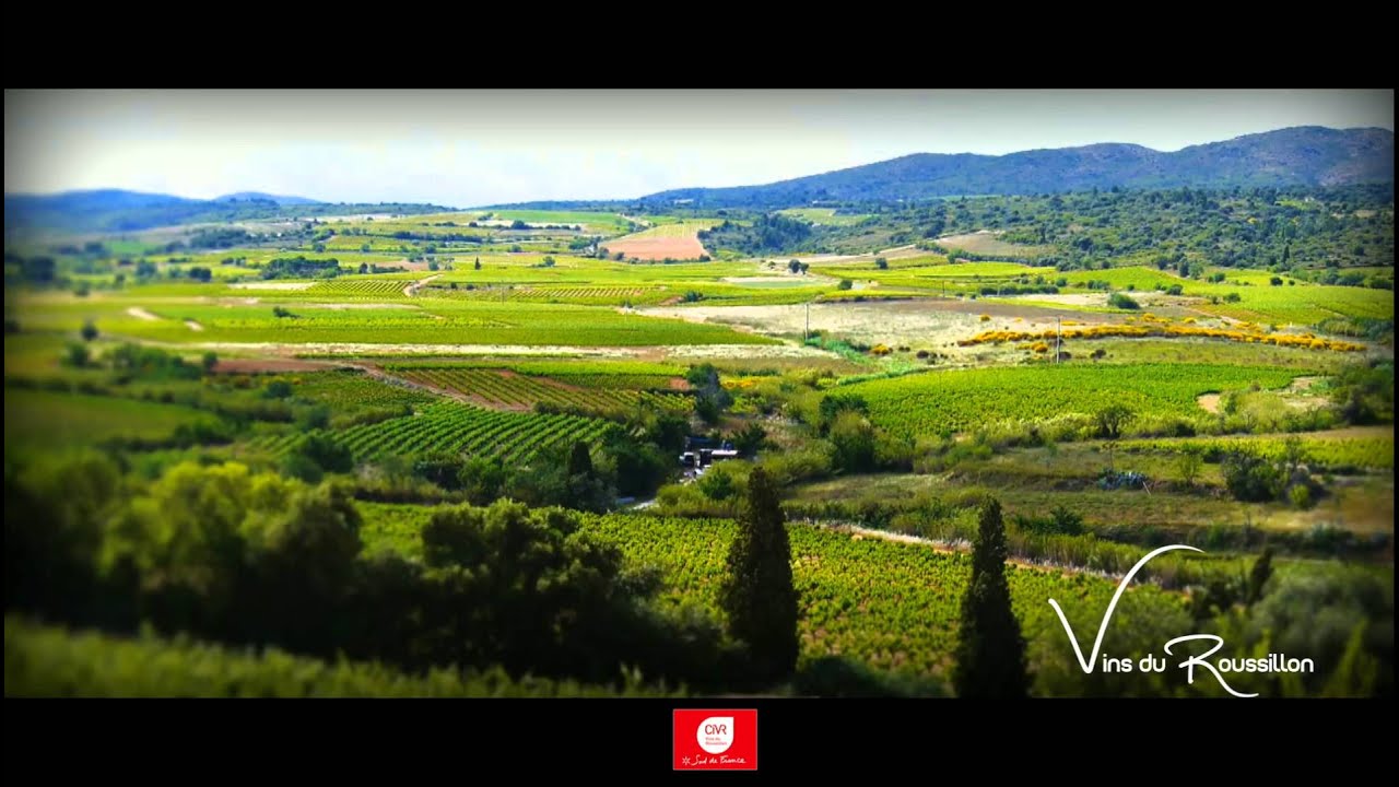 Les Vins du Roussillon