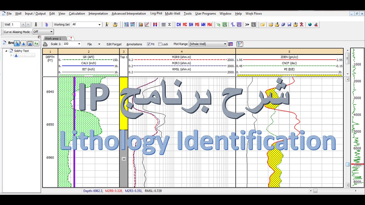 Lithology Identification - (Interactive Petrophysics)  IP شرح برنامج