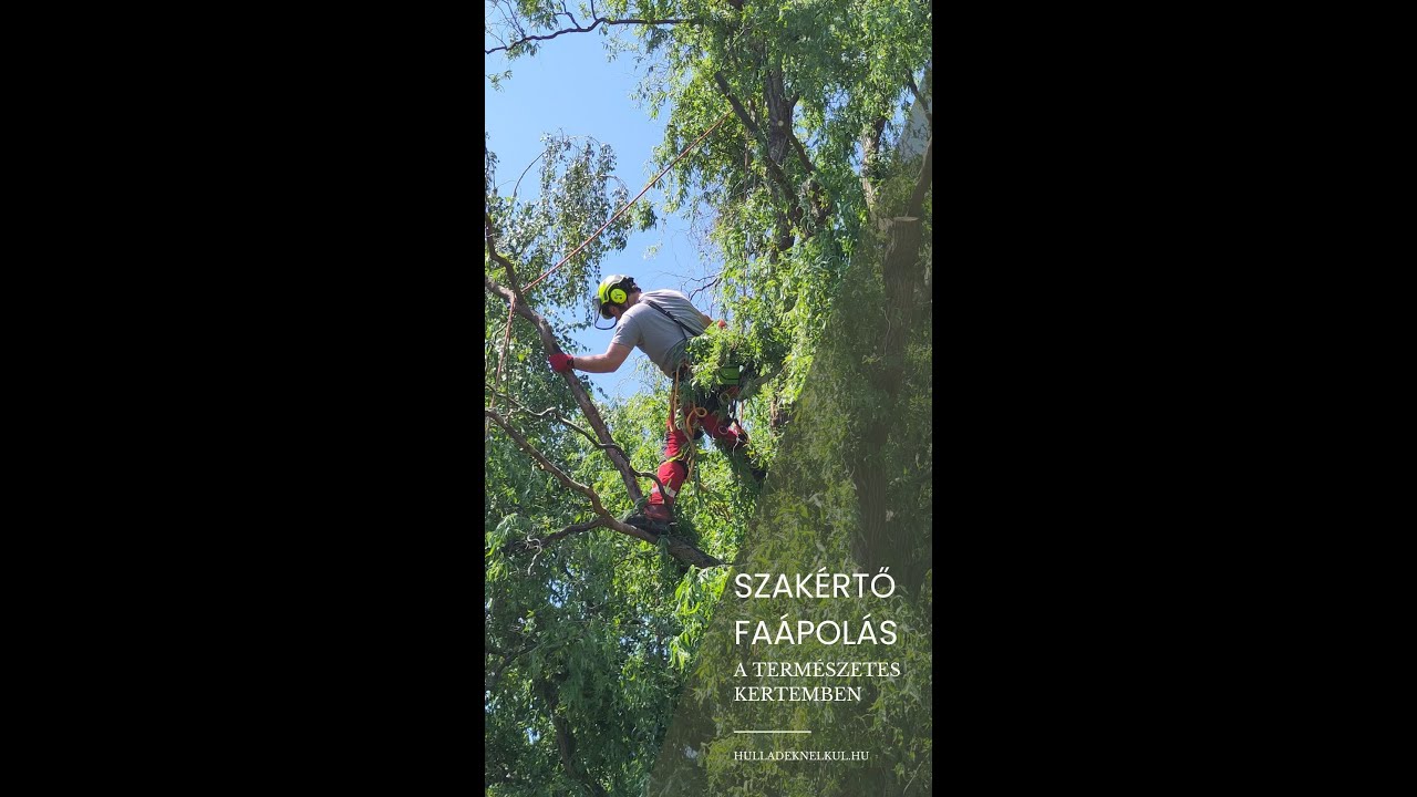 Szak&eacute;rtő fa&aacute;pol&aacute;s a term&eacute;szetes kertemben