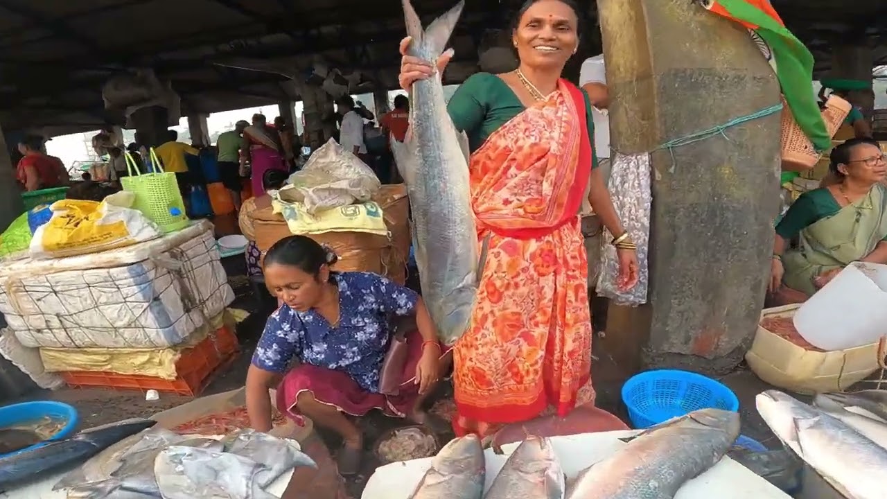 मुंबई का सबसे बडा मछली बंदर | Sassoon Dock Fish Market