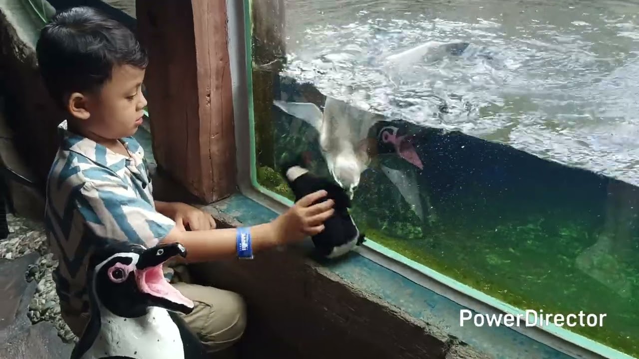 Zyo Jalan-Jalan Ke Marine Park Bali