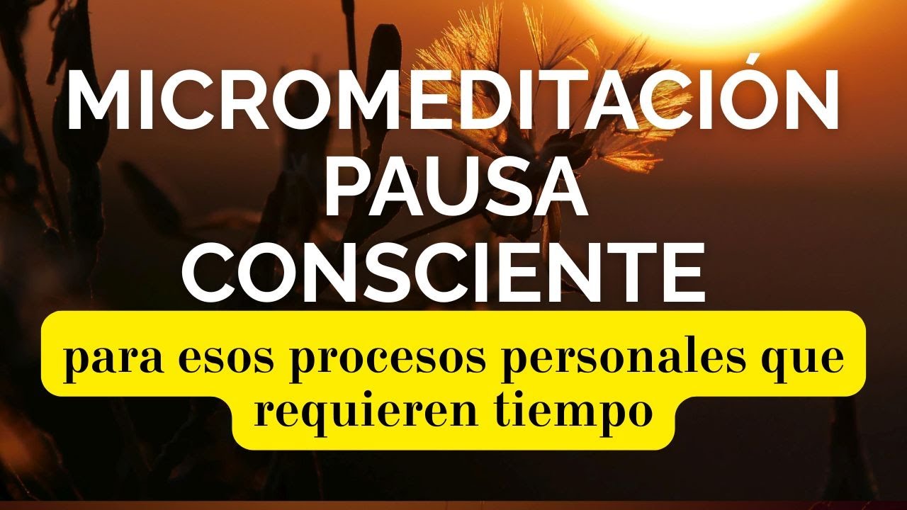 Micromeditaci&oacute;n Pausa Consciente Para Esos Procesos Personales Que Requieren Tiempo y Paciencia
