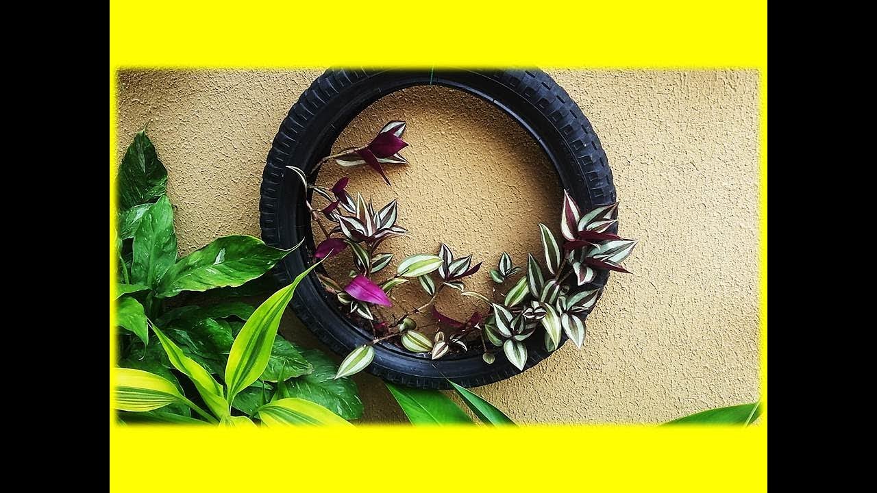 Como Cuidar y Reproducir Tradescantia zebrina