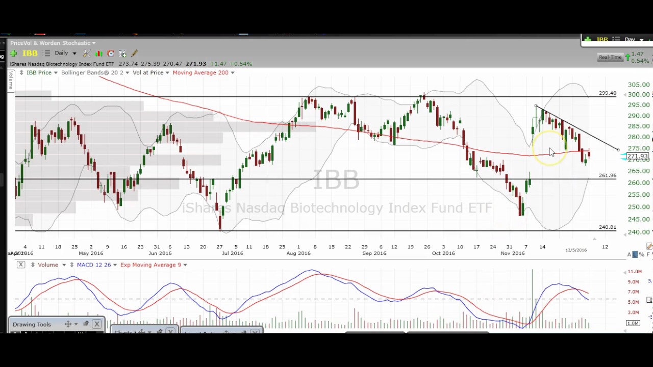 Biotech Chart Technical Analysis $IBB $NBI $XBI $UBIO $LABU $LABD $BIB $FBT $GILD $BIIB $CELG $AMGN