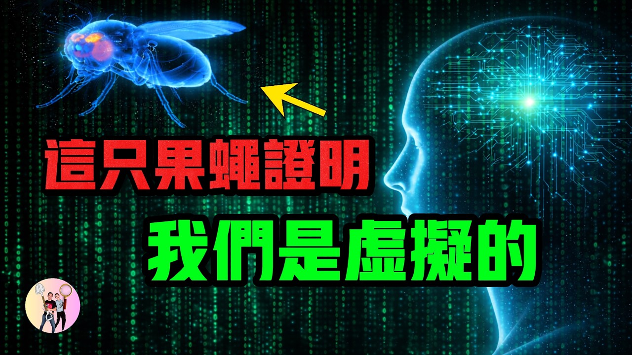 我們的世界是虛擬的？ ？證據竟然是一隻果蠅