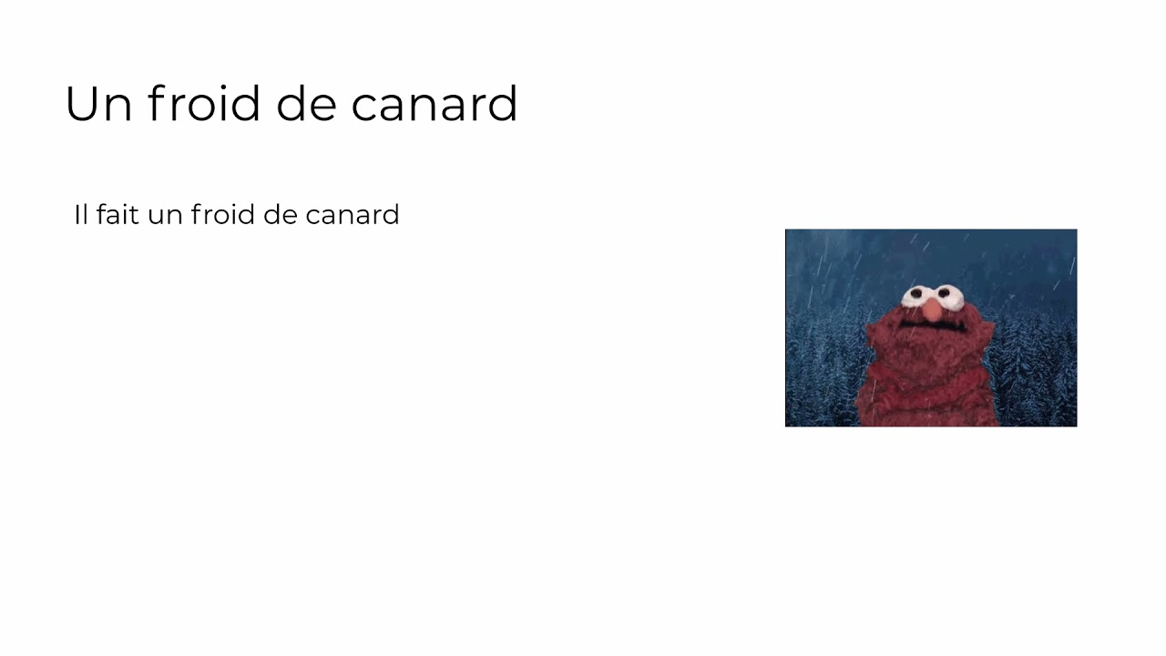 IB DP French B SL | Idioms