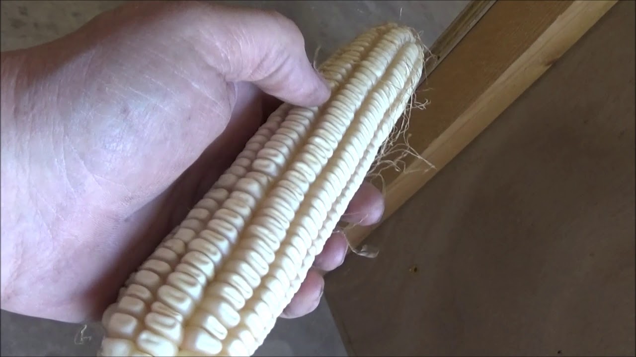 THE BLACKHAWK CORN SHELLER