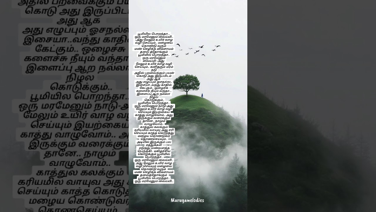 மரம் வளர்ப்போம்.. மண்வளம் காப்போம்..