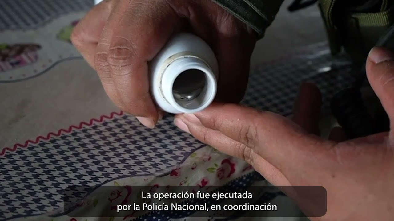 Golpes a la Minería Ilegal y al Crimen Transnacional | Acciones para La Paz 