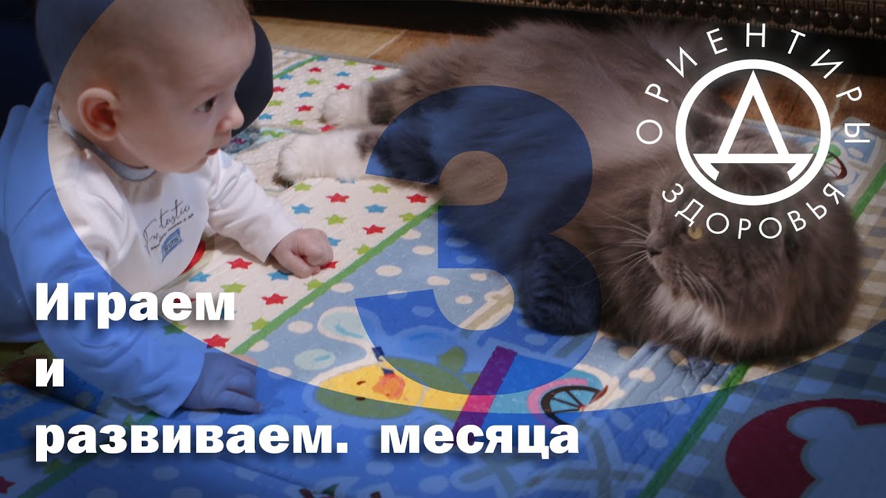 Играем и развиваем. 3 месяца.