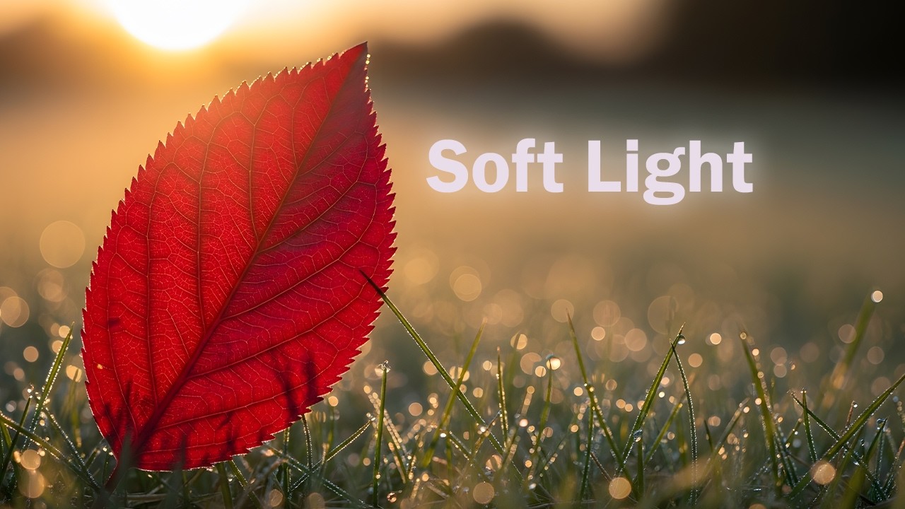 Golden Hour Instrumental Music for Relaxation, Study, and Deep Sleep