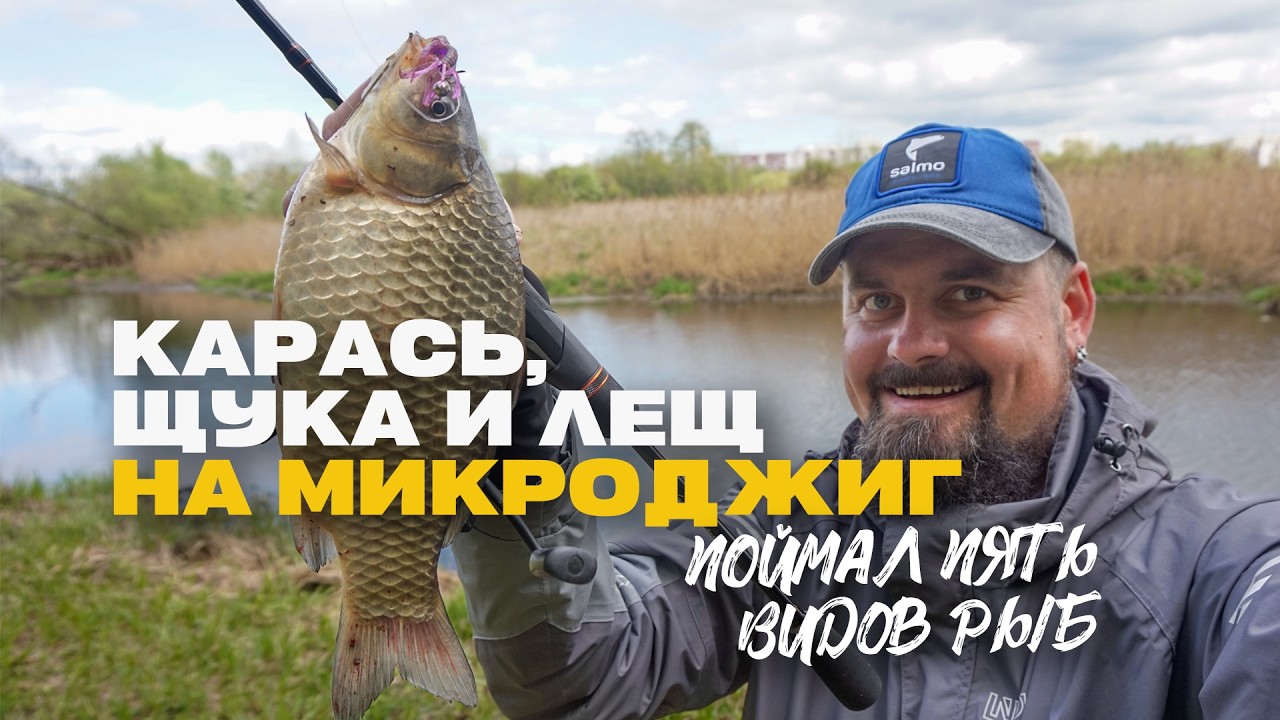 Карась Щука Лещ и Другие на Спиннинг Микроджиг Поймал Пять Видов Рыб за Одну Рыбалку