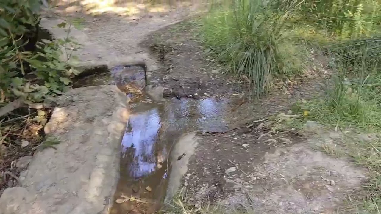 El arroyo de Celin