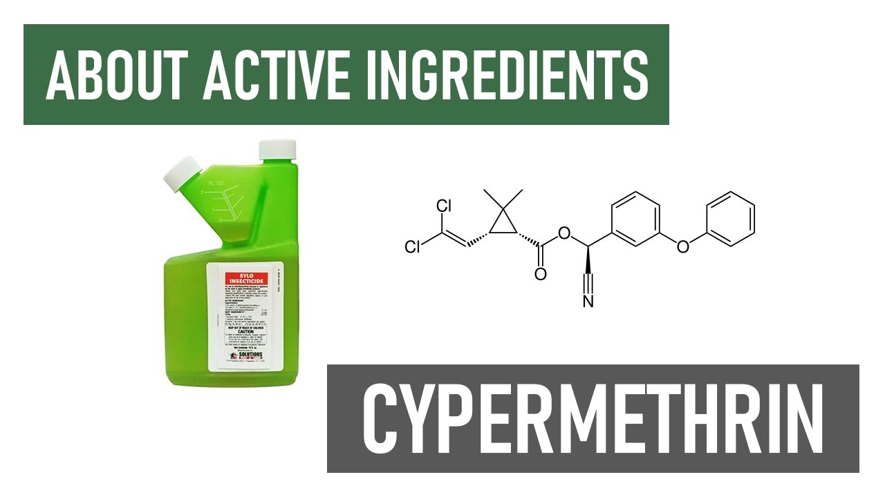 What is Cypermethrin? [Long Lasting Residual Insecticides]