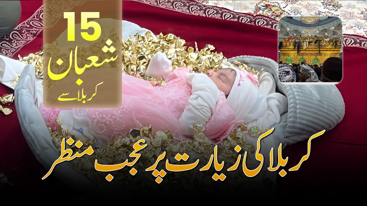15 Shaban 2026 Karabala sy | Khaas Zairat Roza e Abul Fazlil Abbas or Mola Hussain A.S | Saleh Raza