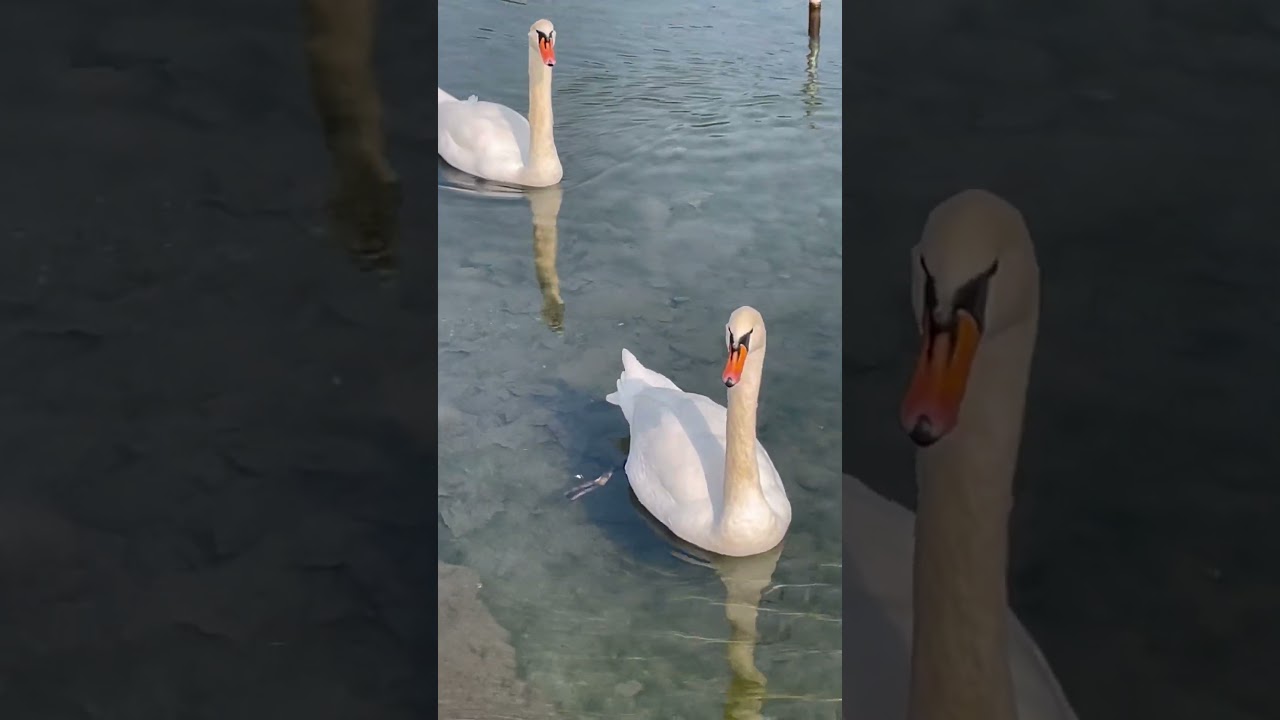 Sono andata con il mio amico Leonardo al fiume Adda in Imbersago (qualche mese fa)
