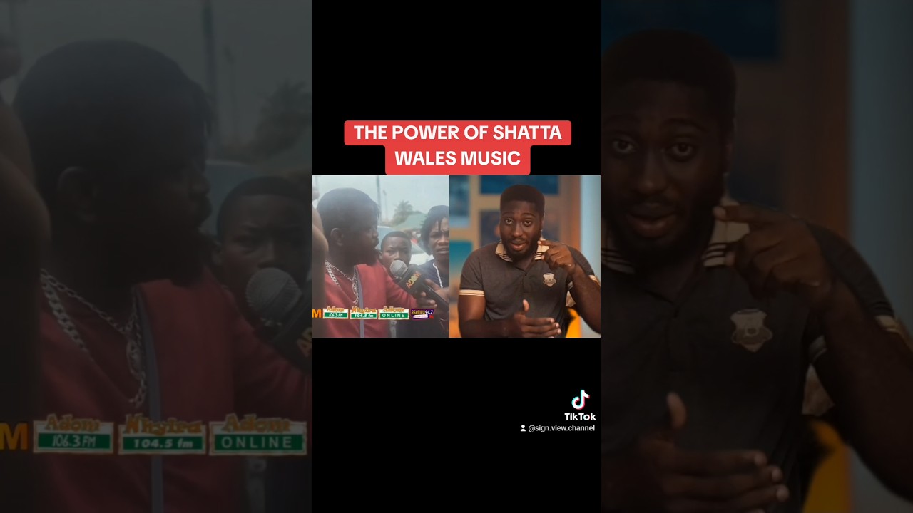SM4LYF #signviewchannel #shattamovement #shattamusic #duet #fyp #viral #sm4lyf