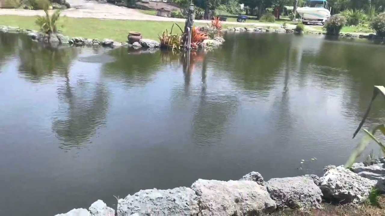How to Stop and Prevent Pond Erosion