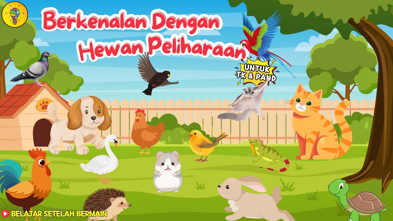 Berkenalan dengan Hewan Peliharaan || Mengenal Nama Nama Hewan Peliharaan - Belajar Setelah Bermain