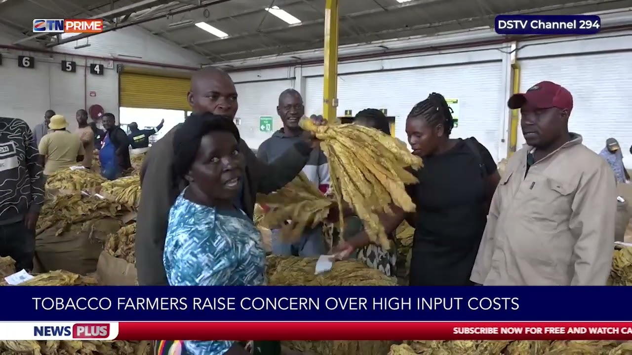 2026 Tobacco Marketing Season officially opens