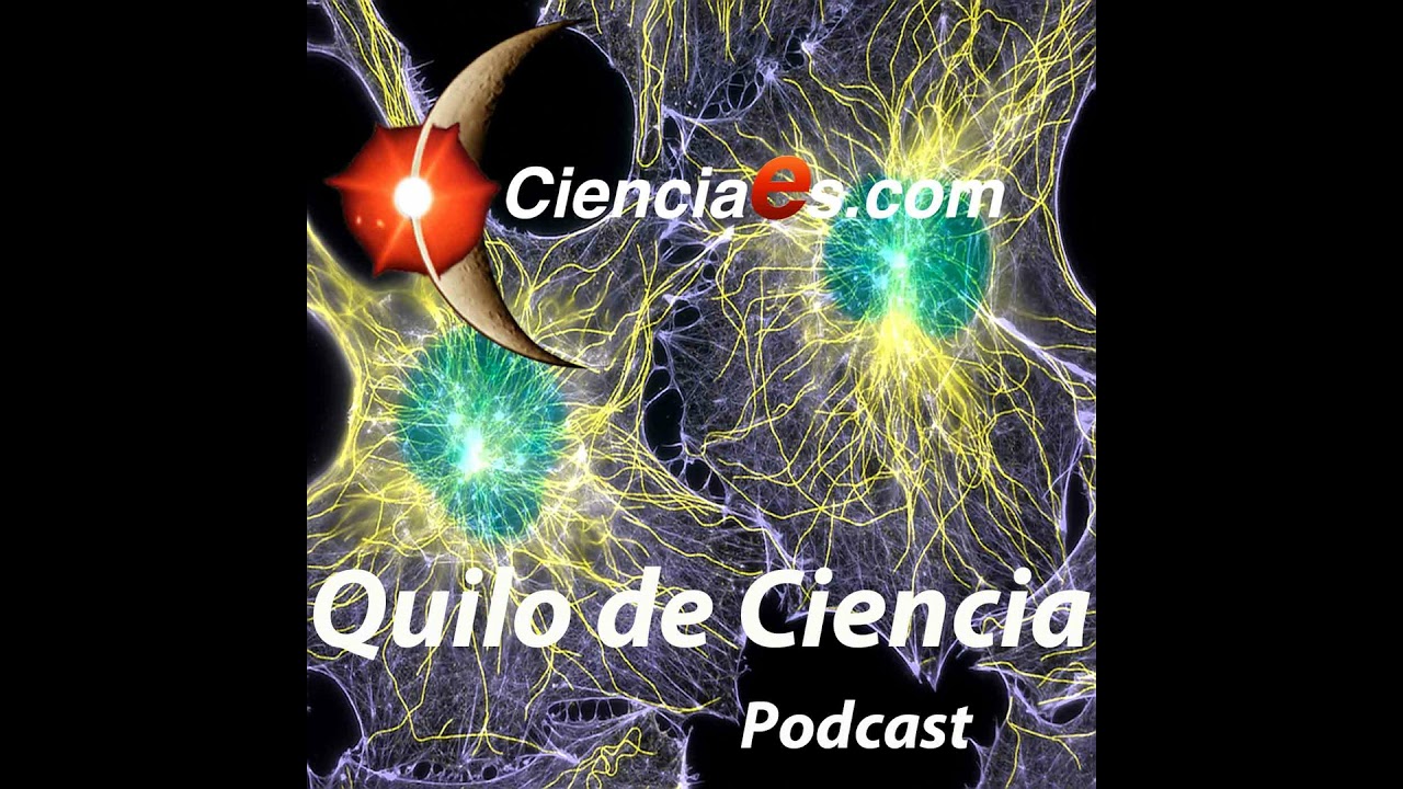 El aceite de oliva en la alimentación humana.
