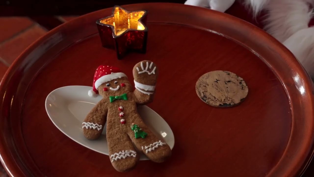 Christmas Comes to Life at Vila Vita Parc