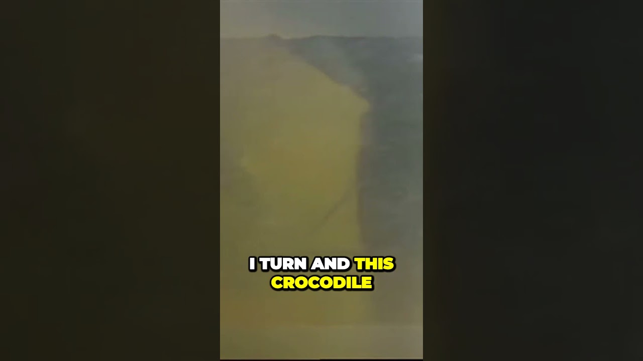 Craziest encounter with a giant crocodile caught on camera!