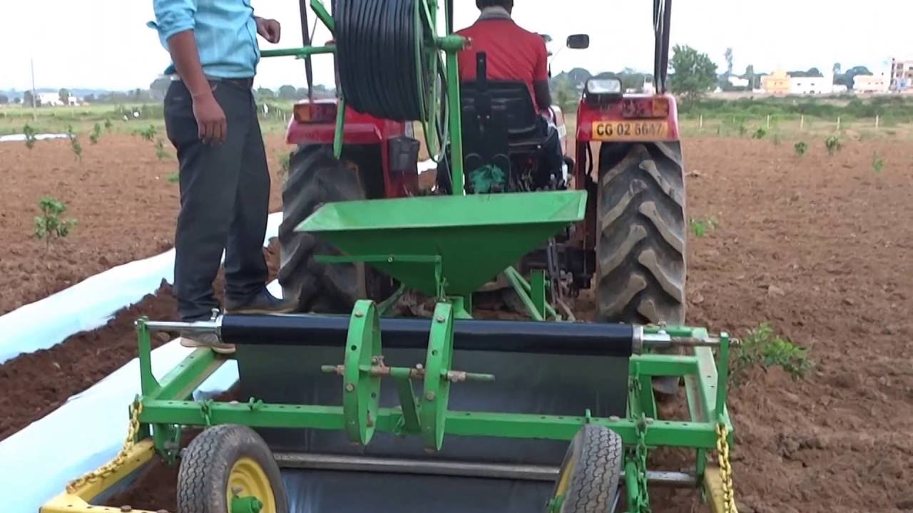 Mulching laying with tractor drawn implement