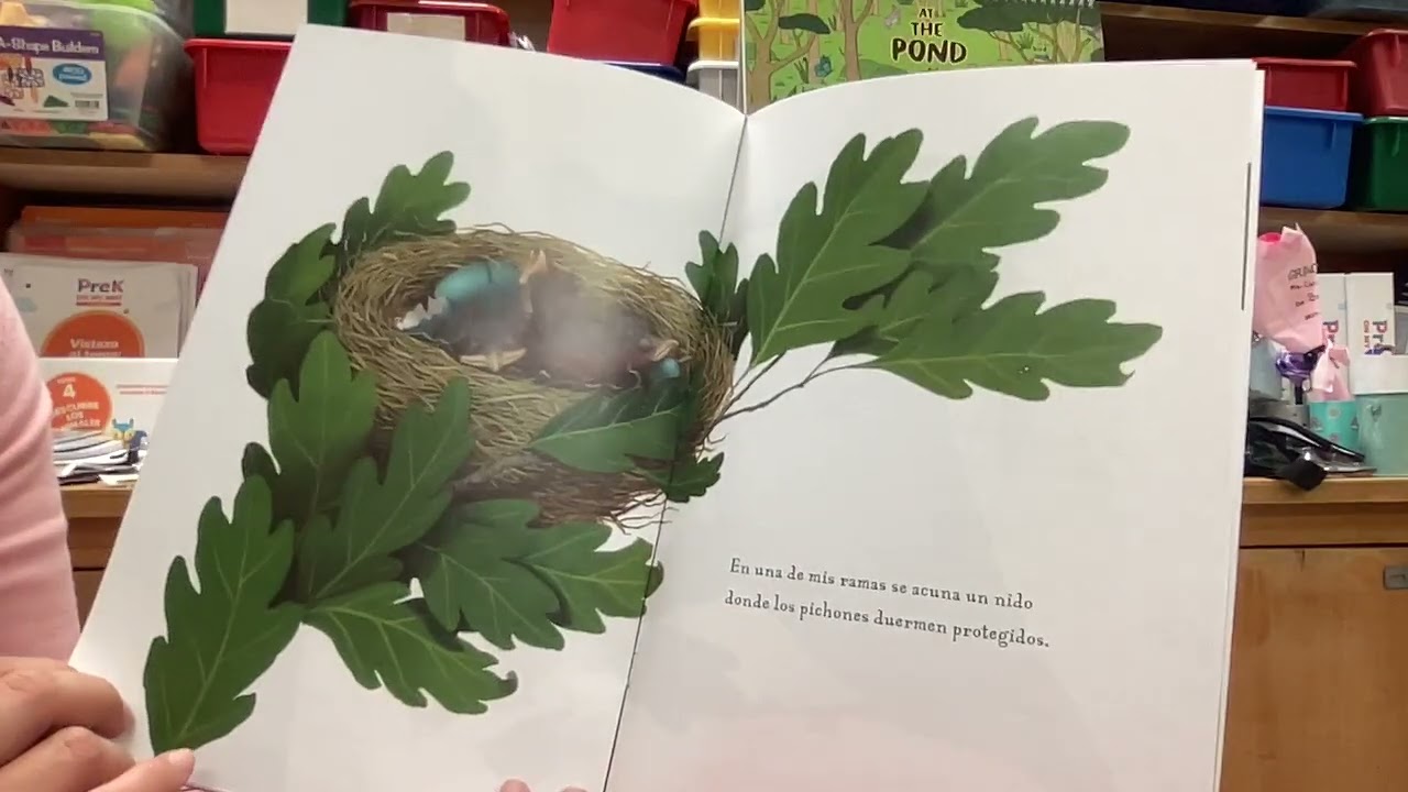 Un árbol muy concurrido